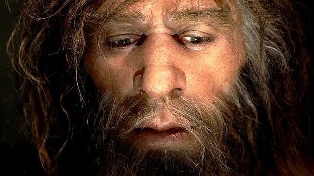 Un estudio revela que los neandertales no solo comían carne sino también vegetales