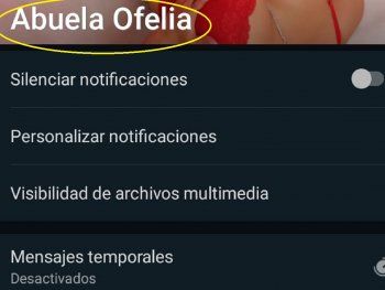 Se llevó una sorpresa al revisar el contacto de WhatsApp de su abuela fallecida y es viral