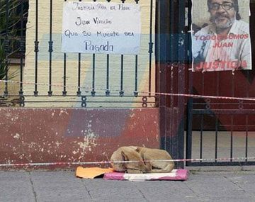 Perro del&nbsp;cura Viroche&nbsp;