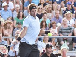 Juan Martín Del Potro vs. David Ferrer Juan Martín Del Potro vs. David Ferrer