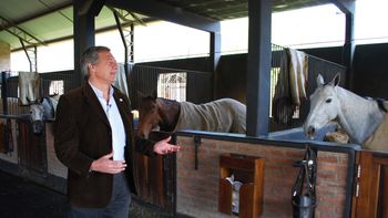 arba detecto 25 mil metros cuadrados sin declarar en caballerizas de polo arba detecto 25 mil metros cuadrados sin declarar en caballerizas de polo