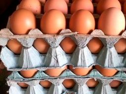 El aumento en el precio de los huevos podría ser una de las primeras consecuencias de un brote de gripe aviar en Uruguay. El aumento en el precio de los huevos podría ser una de las primeras consecuencias de un brote de gripe aviar en Uruguay.