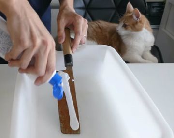 &nbsp;La manera de afilar los cuchillos en poco tiempo y de manera sencilla. El mejor truco casero.