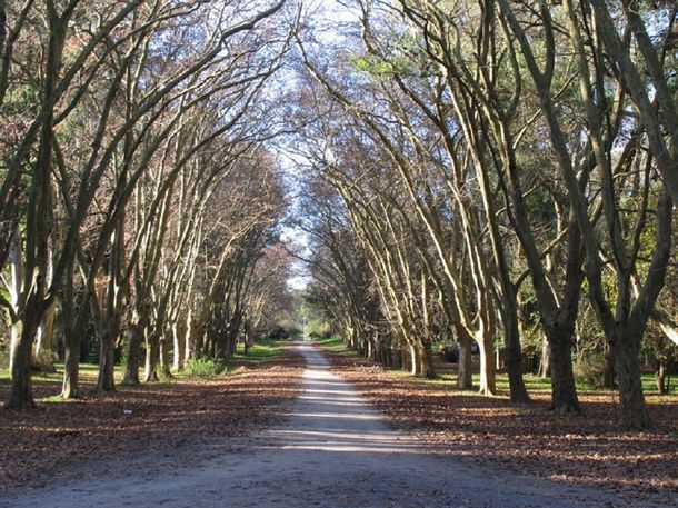 Una joven fue encontrada asesinada en el Parque Pereyra Iraola