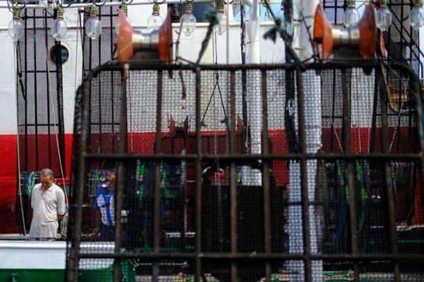 Mar del Plata: se descompensó en alta mar y debió ser evacuado