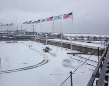 Nevada en el aeropuerto de Chicago - Crédito: Instagram @david_zed