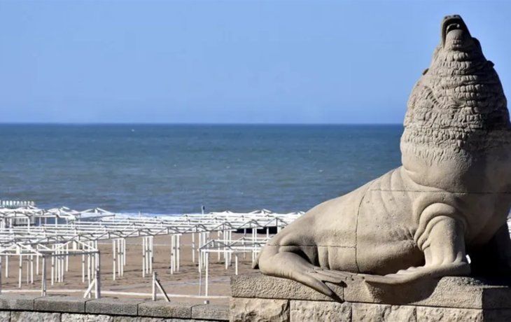 Los lobos marinos de Mar del Plata