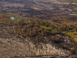 Foto del predio San Esteban (Chubut) publicada por Daniel Roy Wegrzyn vía Facebook. Foto del predio San Esteban (Chubut) publicada por Daniel Roy Wegrzyn vía Facebook.