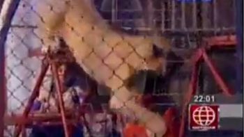 video: feroz ataque de una leona a una espectadora en circo de peru video: feroz ataque de una leona a una espectadora en circo de peru