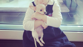 Junior, el nuevo perrito de Wanda y Mauro Icardi Junior, el nuevo perrito de Wanda y Mauro Icardi