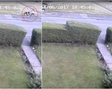 Intento de violación