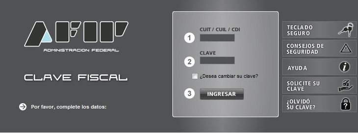 AFIP ya habilitó el trámite online para los viajeros