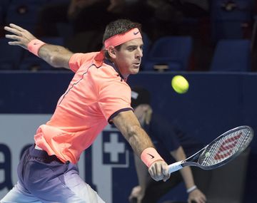 Del Potro quedó afuera del abierto de Basilea.