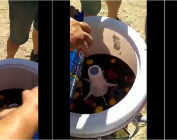 El lavarropas que hace sangría es furor en las redes