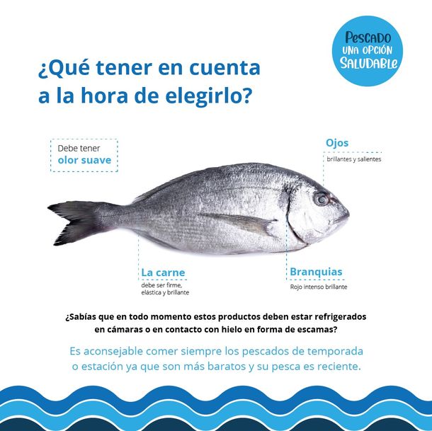 Los beneficios de consumir pescado