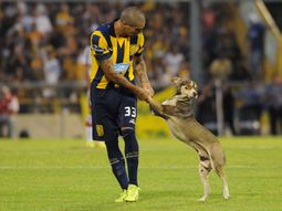 insolito: un perro irrumpio en el partido entre river y rosario central insolito: un perro irrumpio en el partido entre river y rosario central
