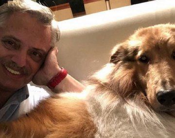 La CM de Dylan fue apuntada por Fabiola Yañez.&nbsp;