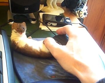 La batalla menos pensada