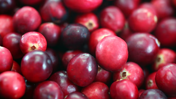 Su elevado contenido de antioxidantes brinda protección a la salud cognitiva (Foto: SEGOB). Su elevado contenido de antioxidantes brinda protección a la salud cognitiva (Foto: SEGOB).