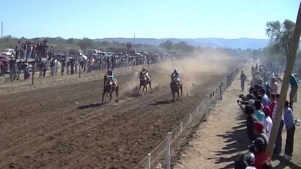 Tragedia en Mendoza: un caballo atropelló y mató a un nene de seis años durante un festival