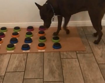 Créditio: hunger4words