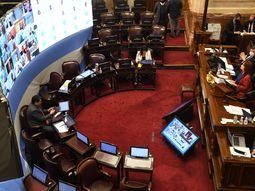 Por primera vez en la historia, Diputados y Senadores realizaron sesiones virtuales