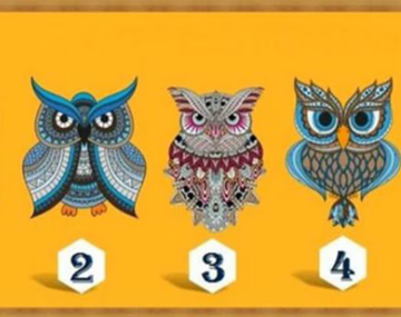 Test viral que revela cómo será tu fin de año según el búho que elijas.