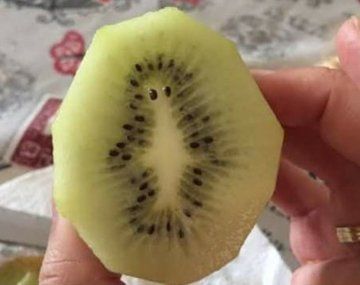 Les traigo amor: un kiwi se hizo viral por su parecido a un personaje de Los Simpson