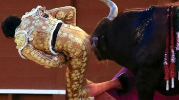video: un torero sufrio una espeluznante corneada en una corrida video: un torero sufrio una espeluznante corneada en una corrida