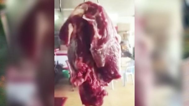 Trozo de carne pareciera cobrar vida