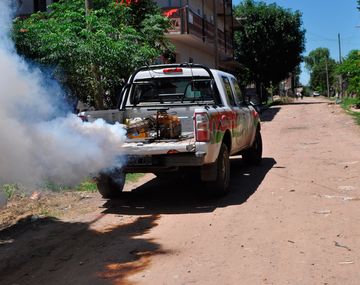 Despliegan acciones contra el dengue