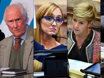 Por edad, sexo, región y partido: la postura de cada senador sobre el aborto