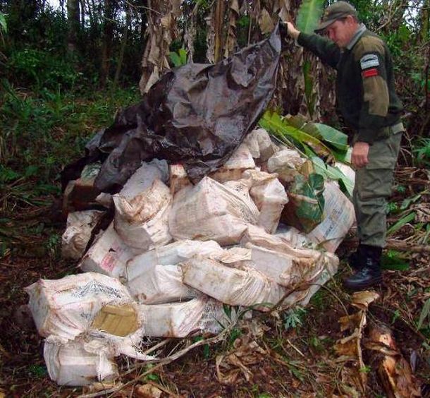 Marihuanamisiones_telam