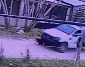 Crueldad policial en Alejandro Korn: un patrullero aplastó a un perro en plena calle