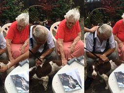 una nieta le regalo un perro a su abuelo y su reaccion fue pura ternura una nieta le regalo un perro a su abuelo y su reaccion fue pura ternura