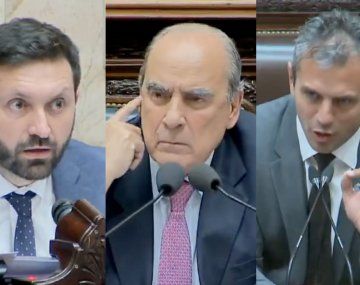 La pregunta del diputado radical que descolocó a Francos y enfureció a Menem