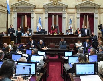 Senado: oposición busca dictamen por el presupuesto universitario y pediatría