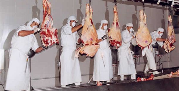 Carniceros. Imagen de archivo