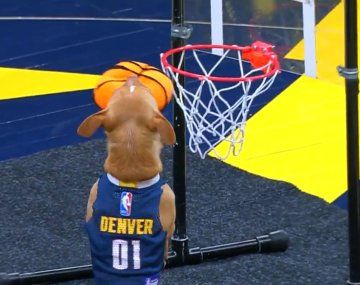 El perro viral de la NBA: hizo un volcada de 360 grados y se convirtió en tendencia