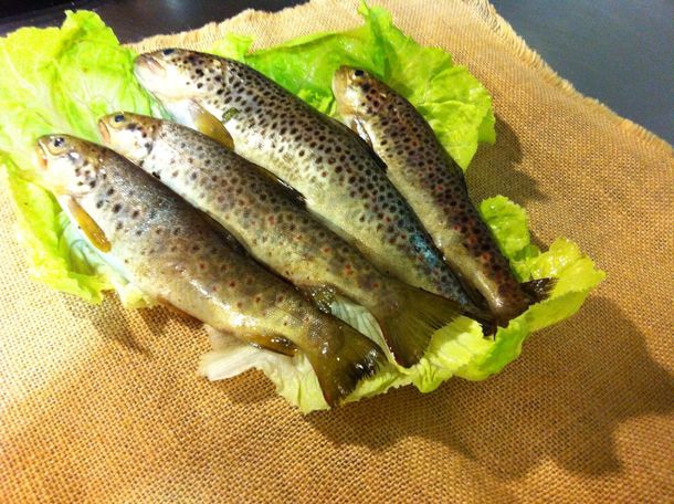 Secuestraron 79 truchas por pesca ilegal en Neuquén: quiénes se las comieron