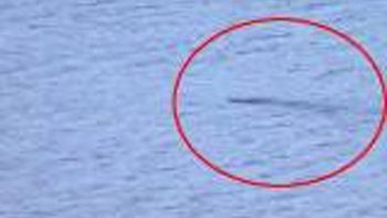 aseguran que murio el monstruo del lago ness tras decadas de misterio aseguran que murio el monstruo del lago ness tras decadas de misterio