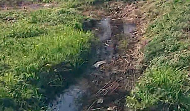 Este es el zanjón donde quedó tirada la víctima