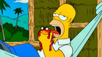 descubren una droga hecha con hongos, plantas y veneno de sapo descubren una droga hecha con hongos, plantas y veneno de sapo