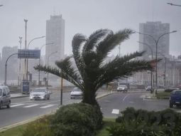 alerta amarilla en mar del plata por tormentas fuertes