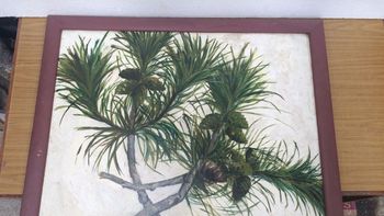 evitan la salida ilegal del pais de una obra de arte de una reconocida artista plastica evitan la salida ilegal del pais de una obra de arte de una reconocida artista plastica