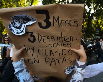 Siguen las ratas en la Escuela Museo de Bellas Artes General Urquiza de Flores