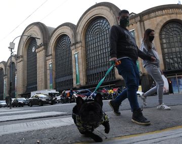 Se ameseta la curva: confirman 163 nuevos casos en Argentina