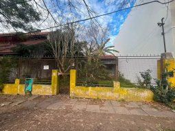 El insólito episodio ocurrió en una propiedad ubicada en 473 bis y 14 B. Foto: El Día.