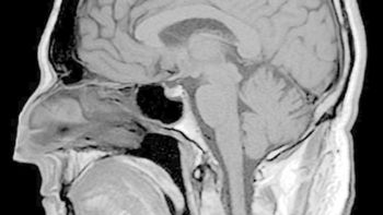 crean nanomemoria que puede almacenar datos crean nanomemoria que puede almacenar datos