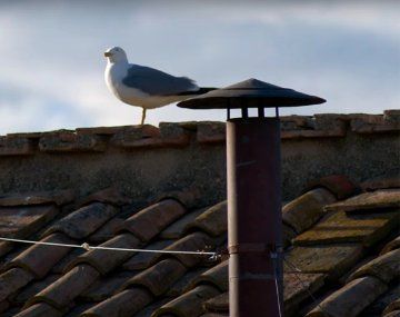 Cónclave día 2: expectativa por otra fumata para definir si hay nuevo papa